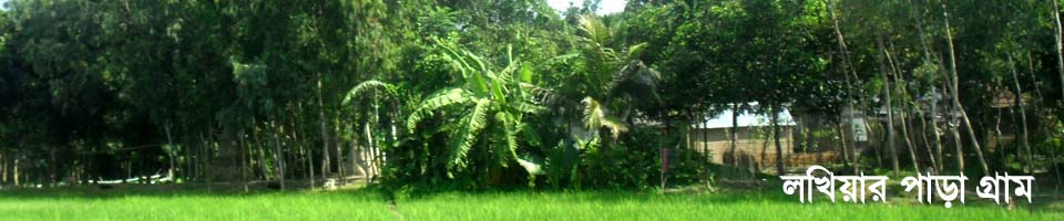 লখিয়ার পাড়া গ্রাম