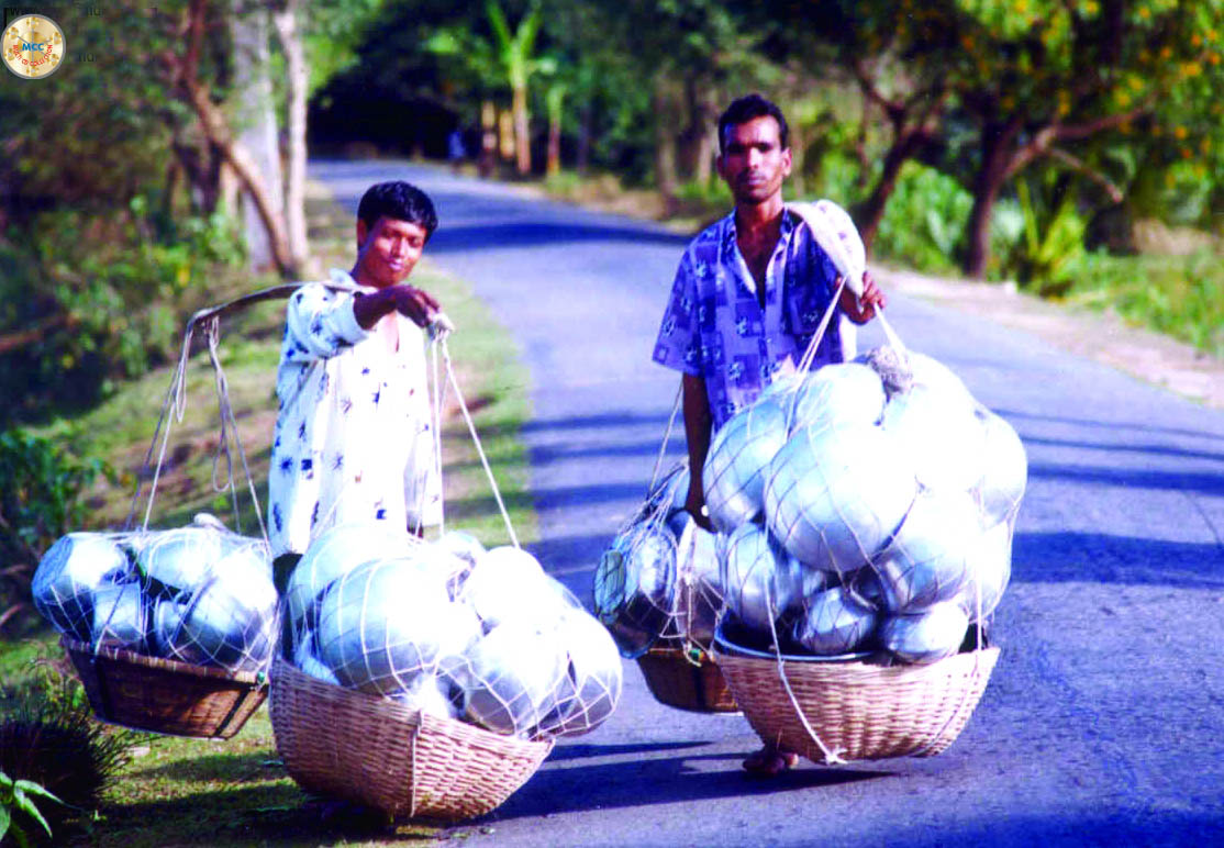 ফটোগ্যালারী