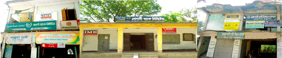 ৫ নং হরিপুর ইউনিয়নে অবস্থিত ব্যাংক সমূহ