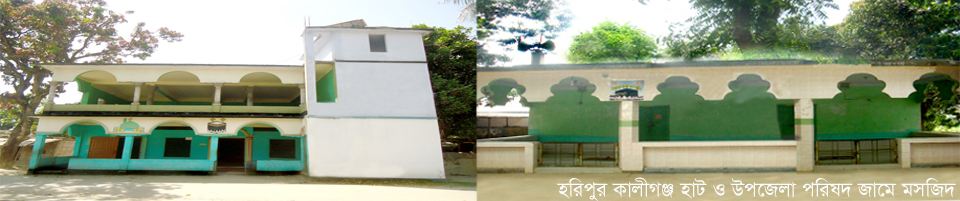হরিপুর সদর ইউনিয়নে অবস্থিত কালীগঞ্জ হাট জামে মসজিদ ও উপজেলা পরিষদ জামে মসজিদ