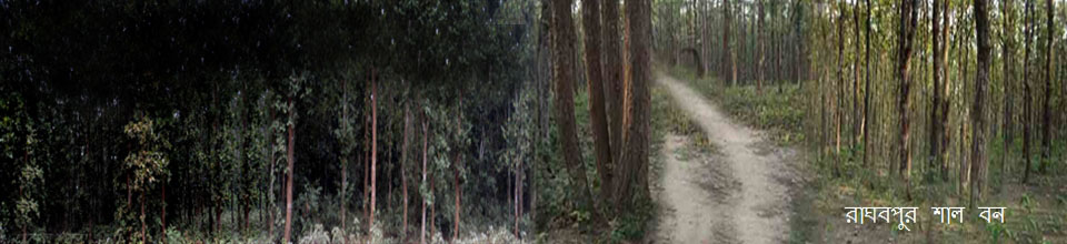 রাঘবপুর শাল বন