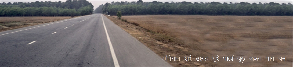 বুড় কাটাল শালবন