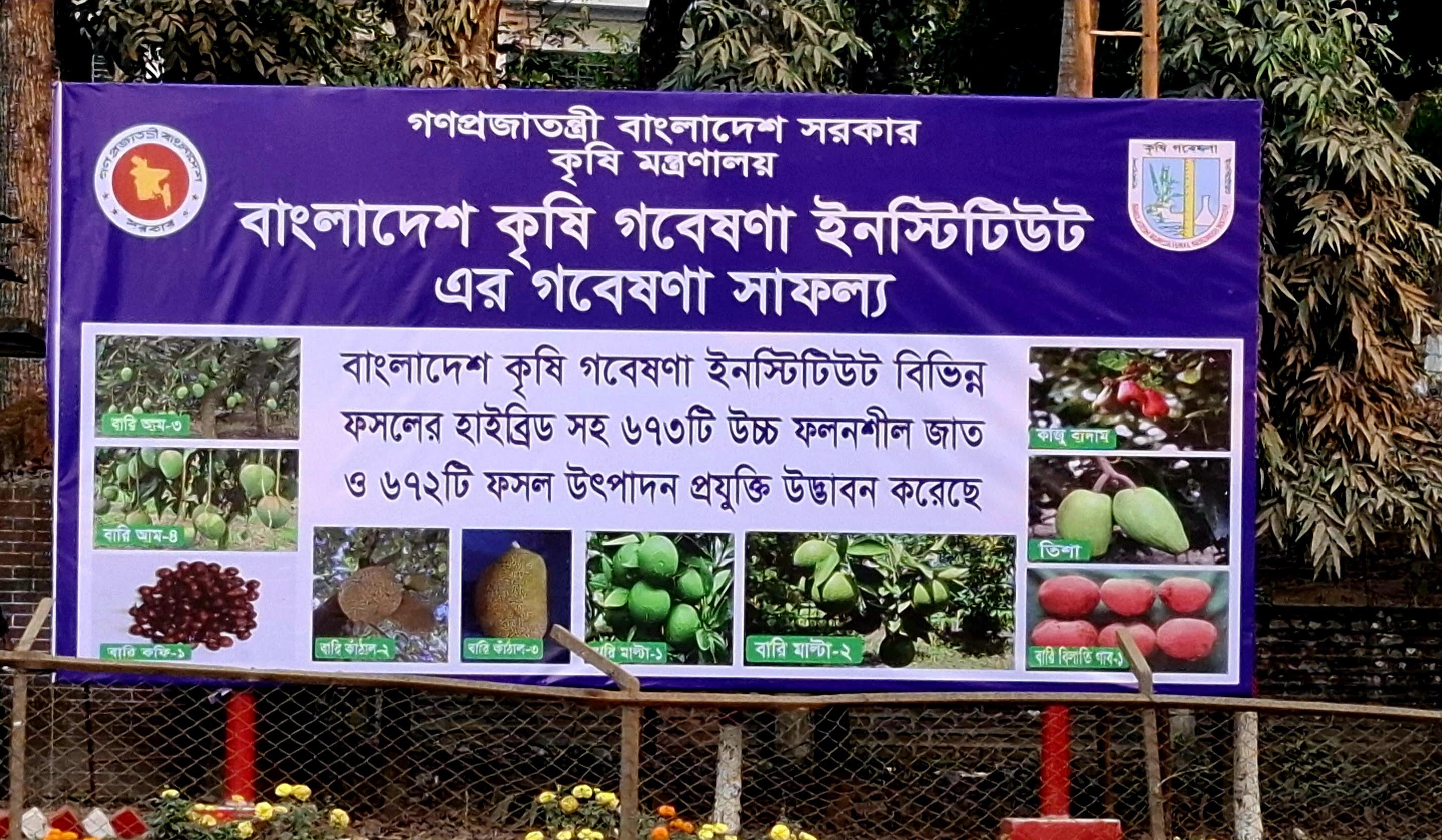 ব্যানার