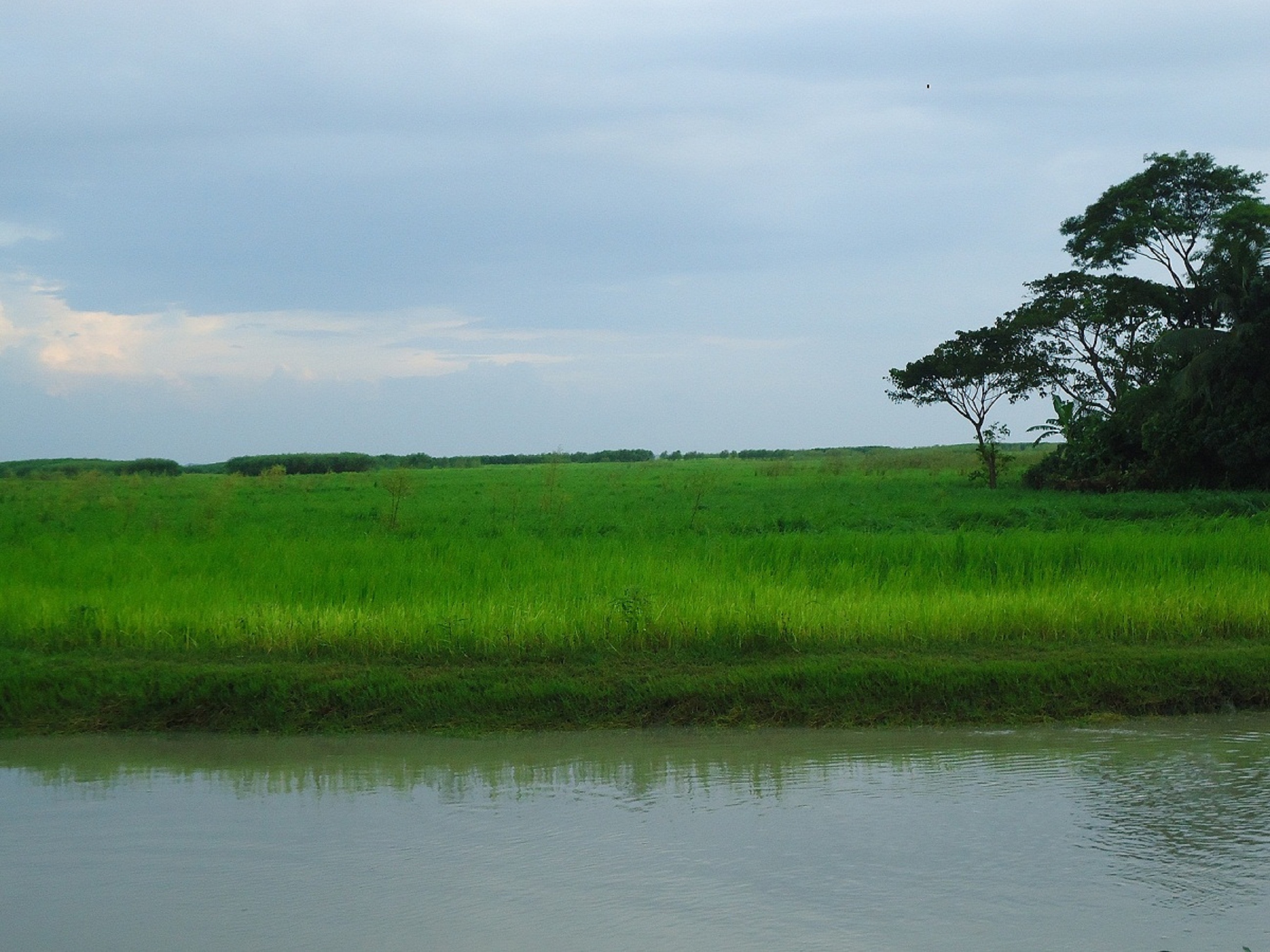 কৃষি ও প্রাণিসম্পদ