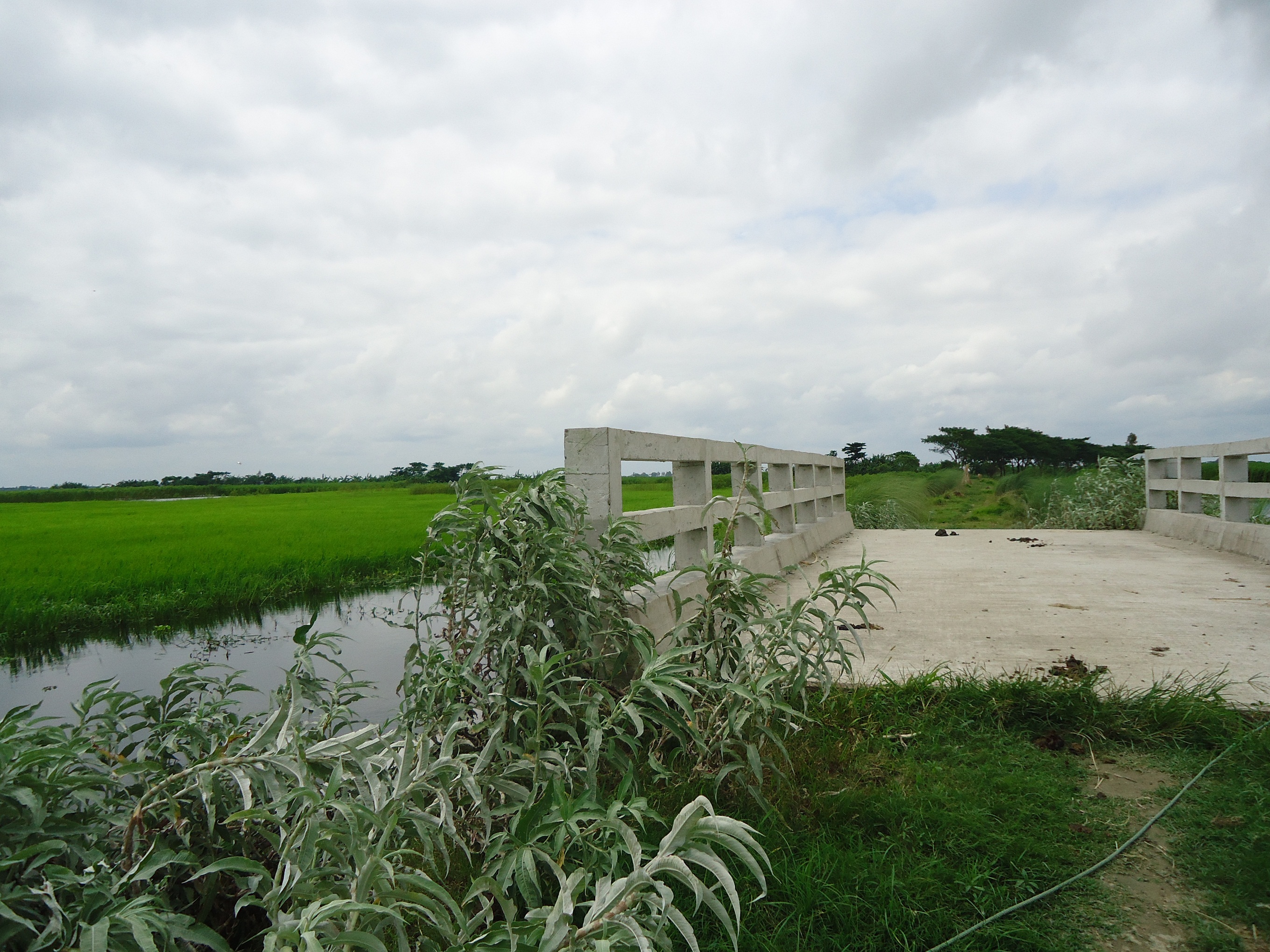 প্রকৌশল