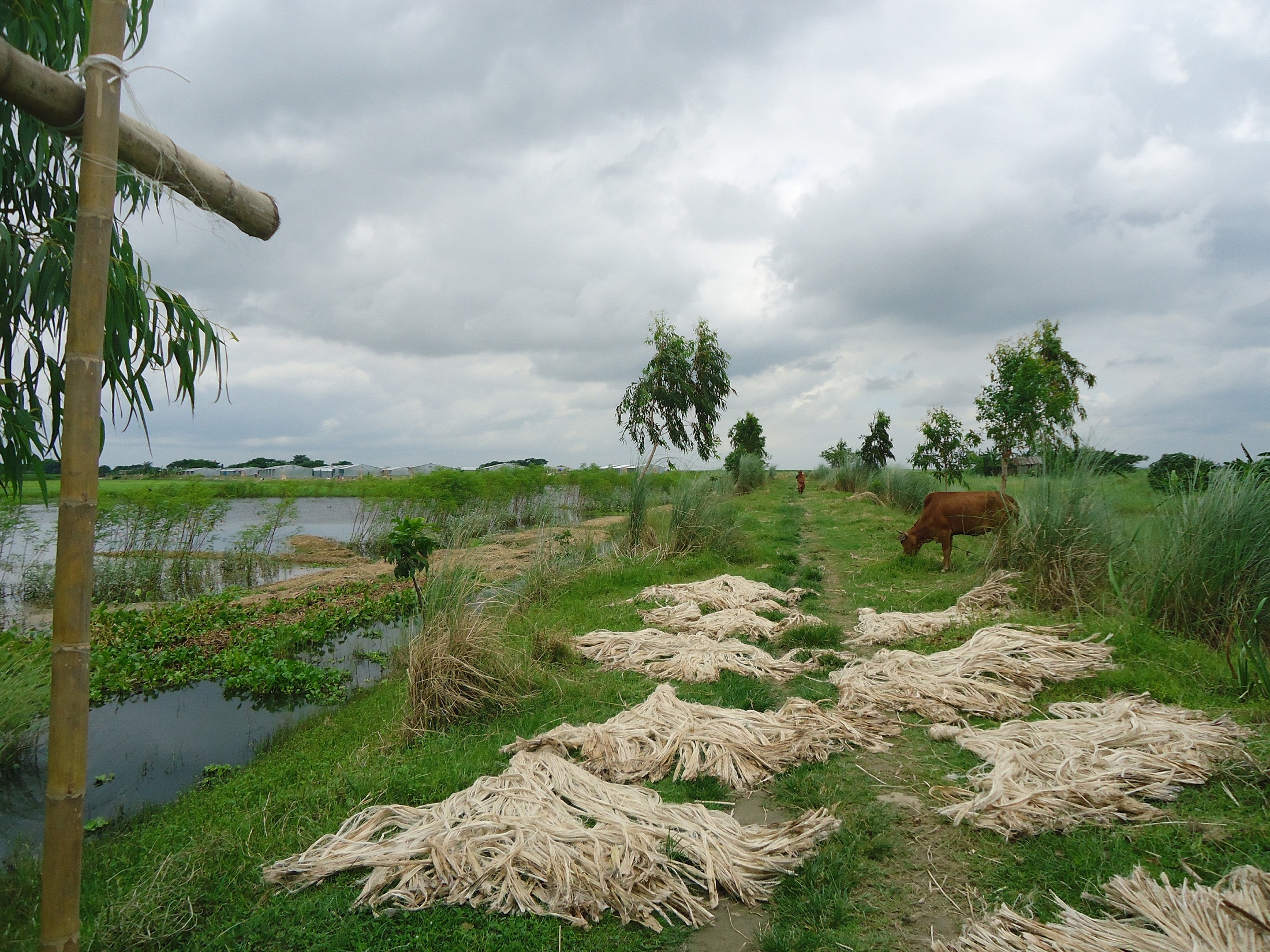 সমাজ সেবা