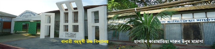 বানারী বহুমূখী উচ্চ বিদ্যালয় ও হাসাইল কারামতিয়া দারূল উলুম মাদ্রাসা।