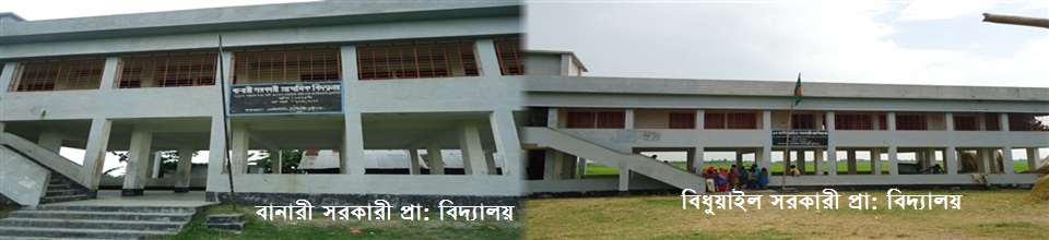 বানারী এবং বিধুয়াইল সরকারী প্রাথমিক বিদ্যালয়