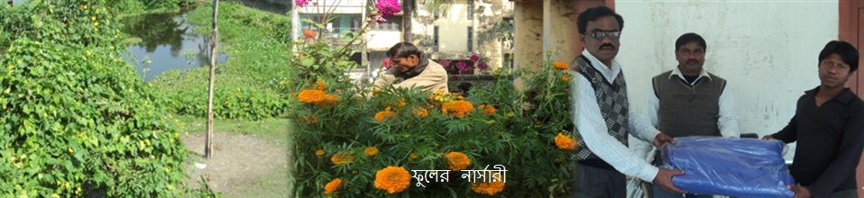 হাসনাবাদ ইউ পির প্রকৃতি