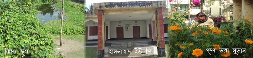 হাসনাবাদ ইউ পির প্রকৃতি