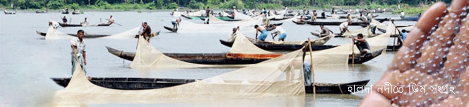 হালদা নদীর ডিম শিকারী