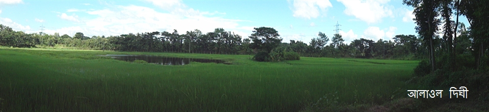 আলাওল দিঘী