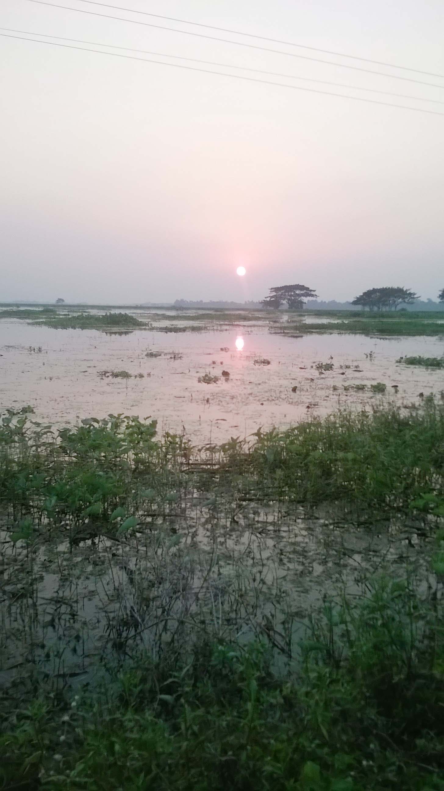 হাতিয়াড়া বিল