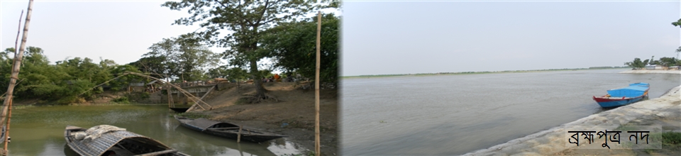 ব্রহ্মপুত্র নদ