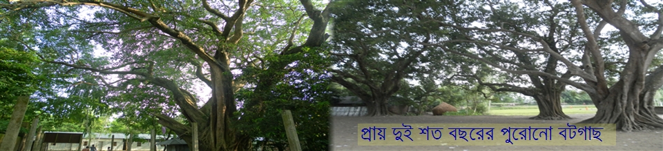 ঐতিহ্যবাহী বটগাছ