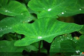 ইউনিয়ন ও সৌন্দর্য