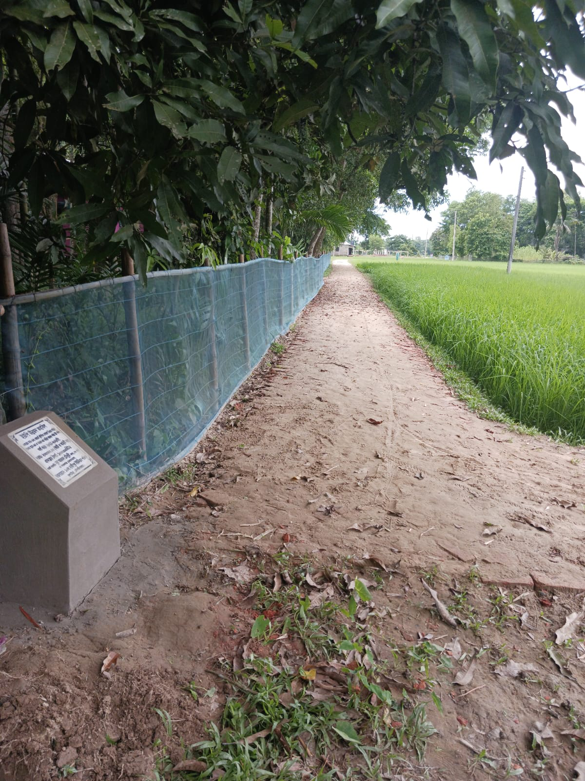 উন্নয়ন প্রকল্প