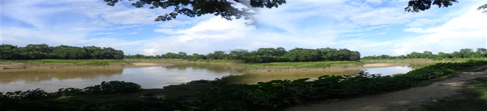 হাজীপুর ইউনিয়ন পরিষদ