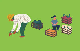 উদ্যান ফসলের চাষাবাদ প্রযুক্তি