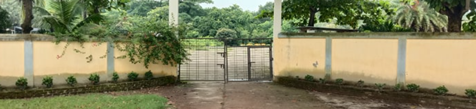 মেইন গেট