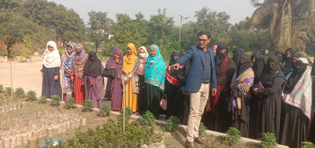 মোস্তাফিজুর রহমান, এসএএইচও