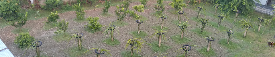 হর্টিকালচার সেন্টার, বদলগাছি, নওগাঁ