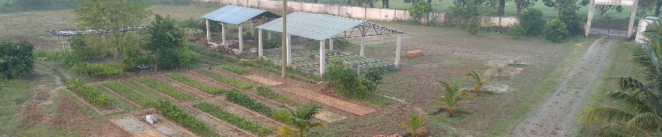 হর্টিকালচার সেন্টার, বদলগাছি, নওগাঁ