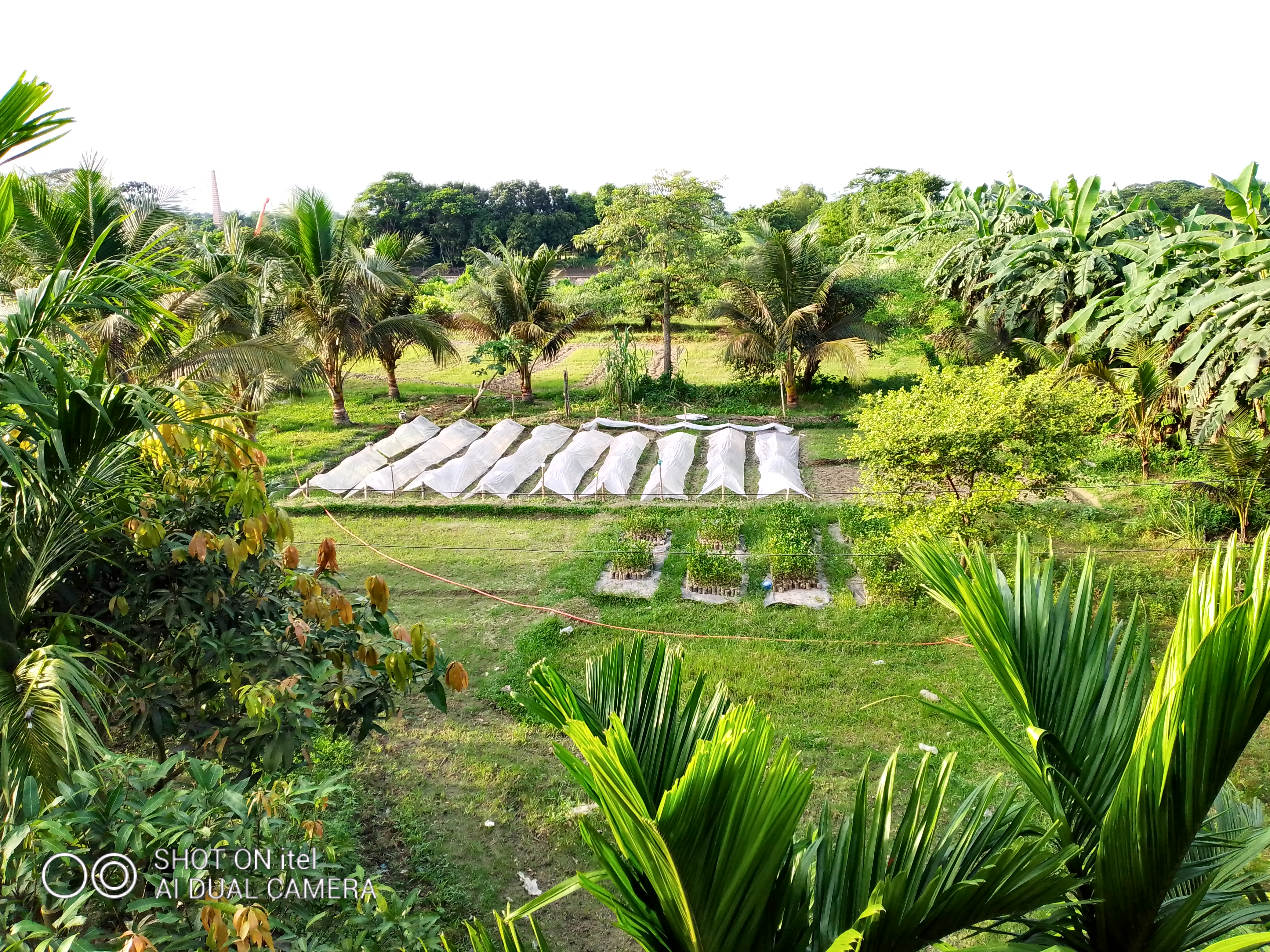 ব্যানার