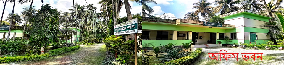 ব্যানার