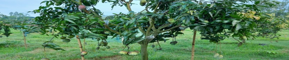 ব্যানার-১