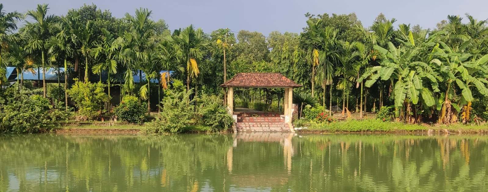 বহুমূখী উৎপাদনশীল পুকুর