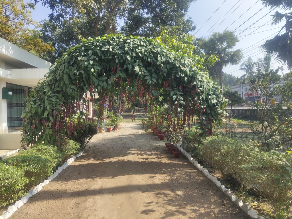 হটিকালচার