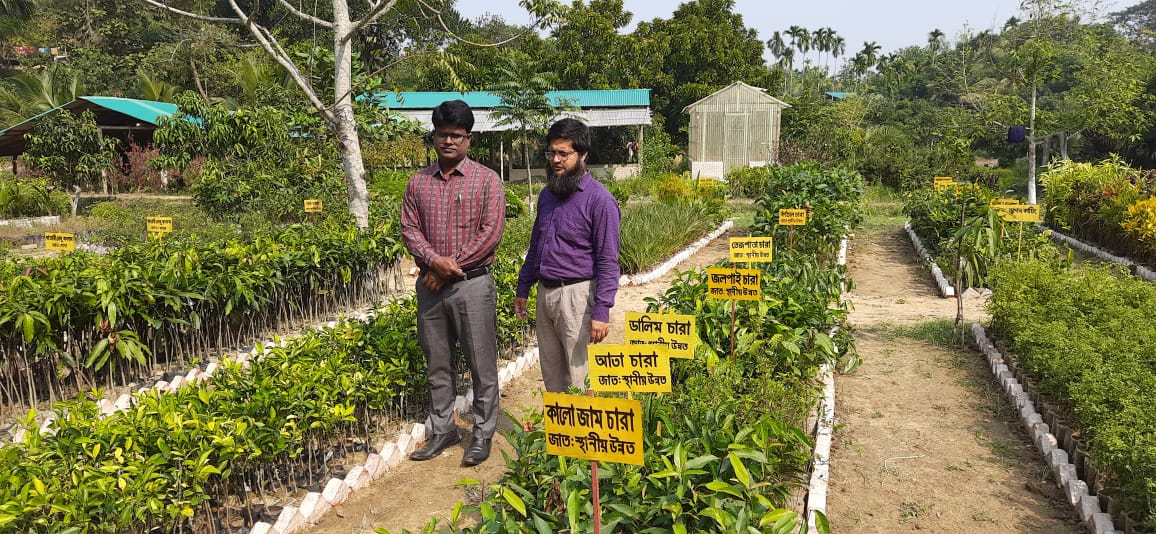 সেন্টারের ছবি