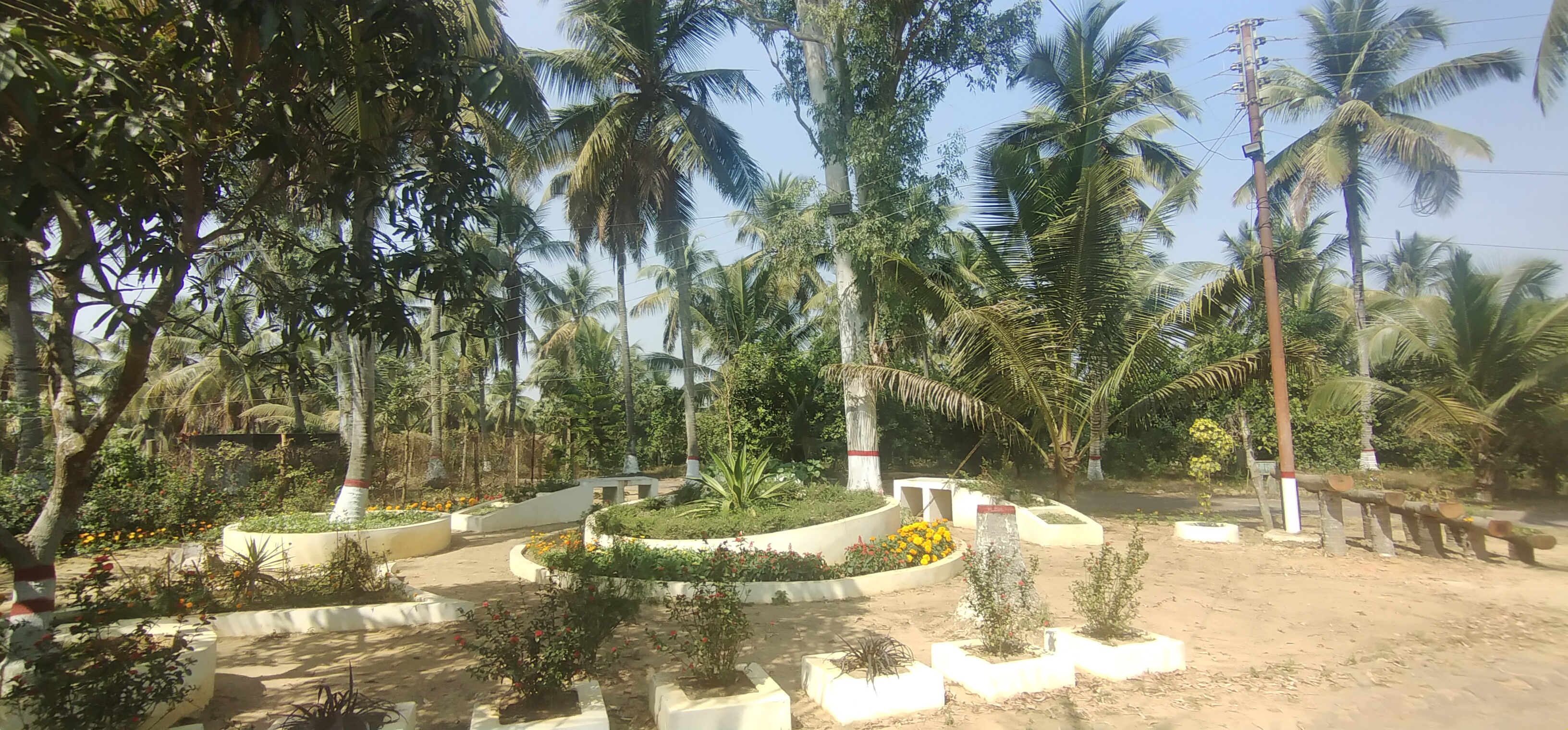 হর্টিকালচার সেন্টার রামু,কক্সবাজারের কিছু চিত্র