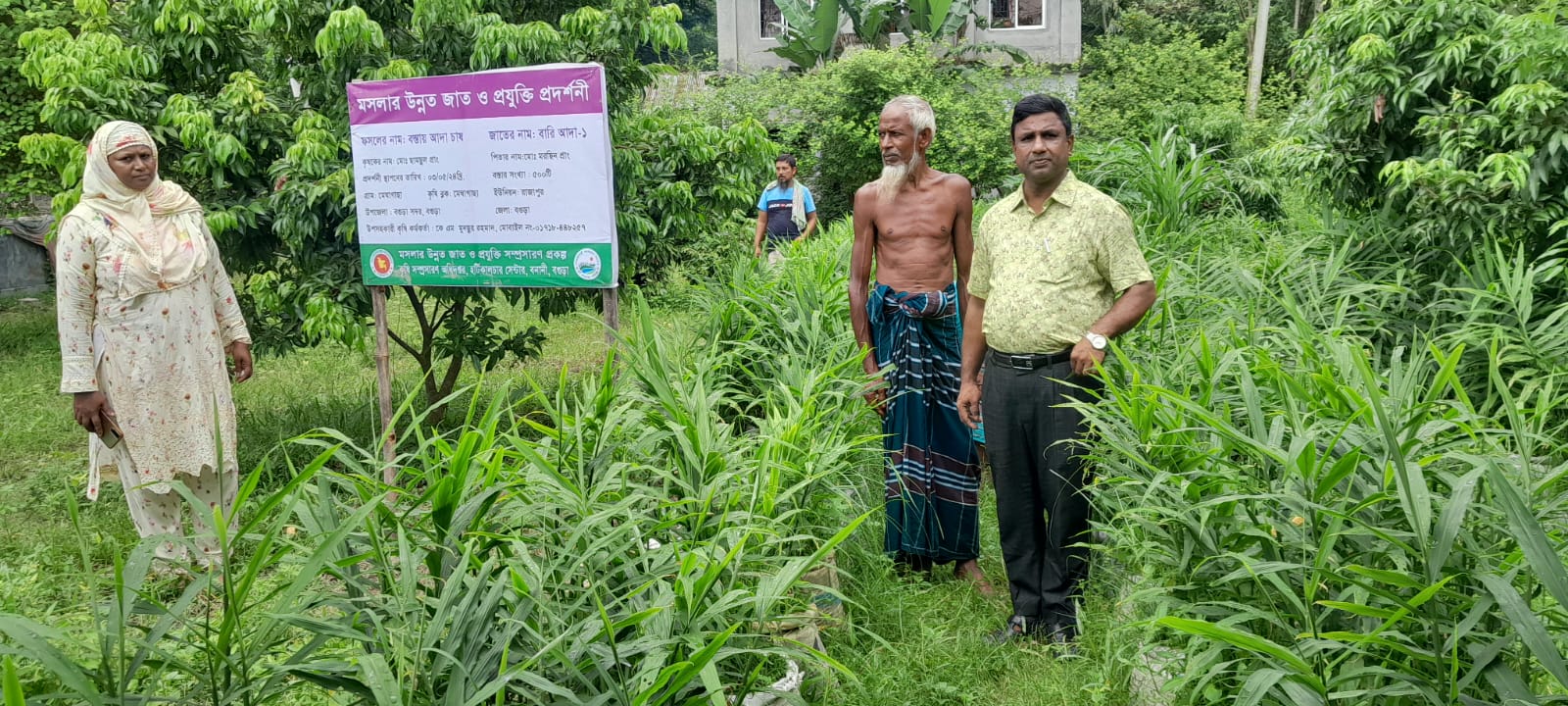 পরিদর্শন