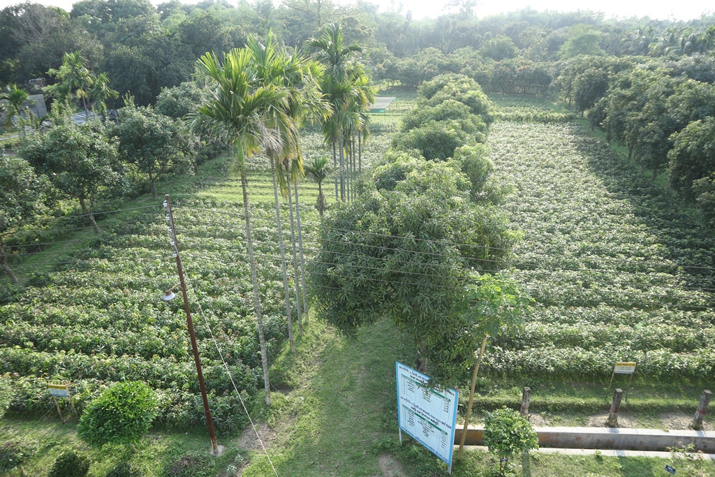 হর্টিকালচার সেন্টার, বুড়িরহাট, রংপুর