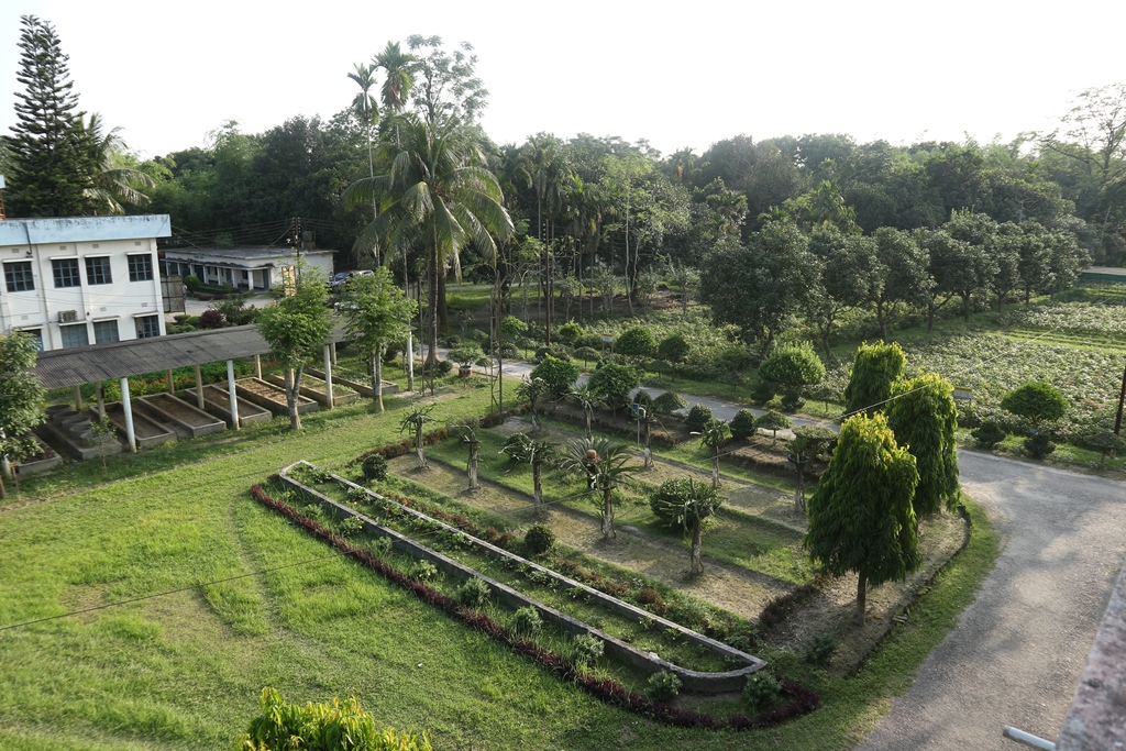 হর্টিকালচার সেন্টার, বুড়িরহাট, রংপুর
