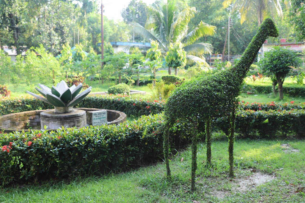 হর্টিকালচার সেন্টার, বুড়িরহাট, রংপুর।