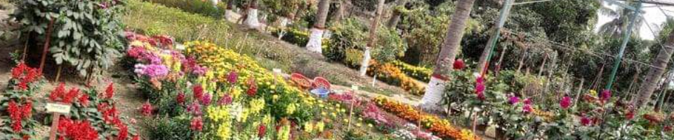 ব্যানার-২