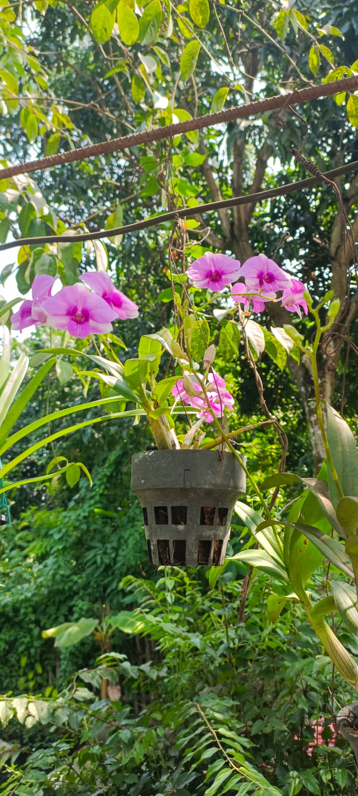 পরিচালক স্যারের সেন্টার পরিদর্শন