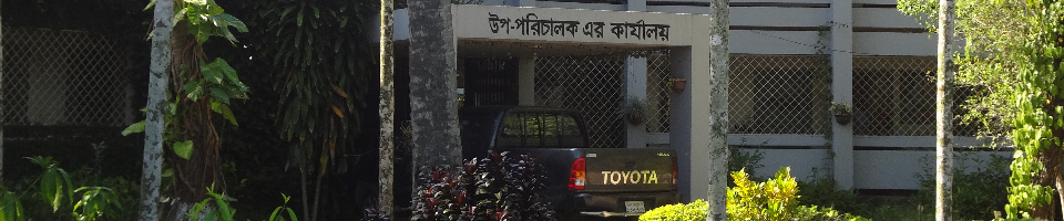 অফিস ভবন