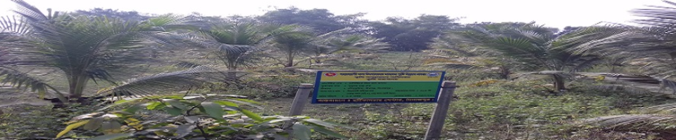 বাণিজ্যিক মিশ্র ফল বাগান প্রদর্শনীর চিত্র