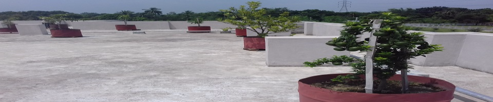 ছাঁদ বাগান কার্যক্রম, হর্টিকালচার সেন্টর, সদরপুর, দিনাজপুর
