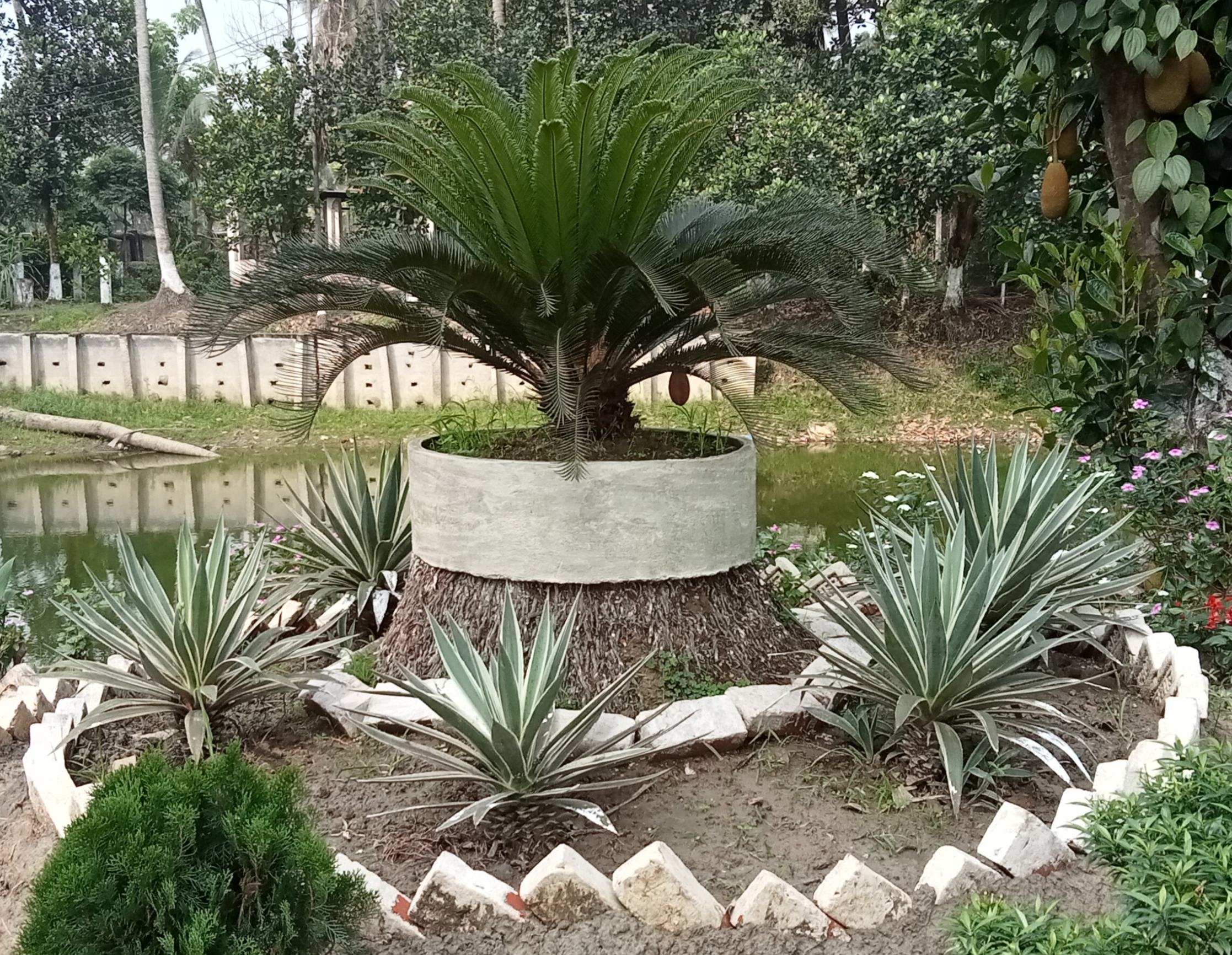 সৌন্দর্য বর্ধন