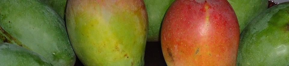 আম