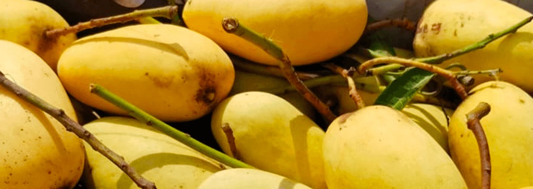 কাটিমন আম