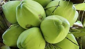 নারিকেল