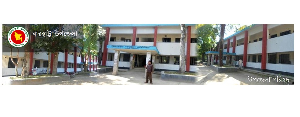 বারহাট্টা 