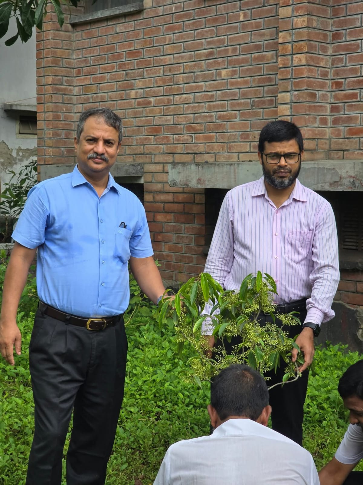 বৃক্ষ রোপন