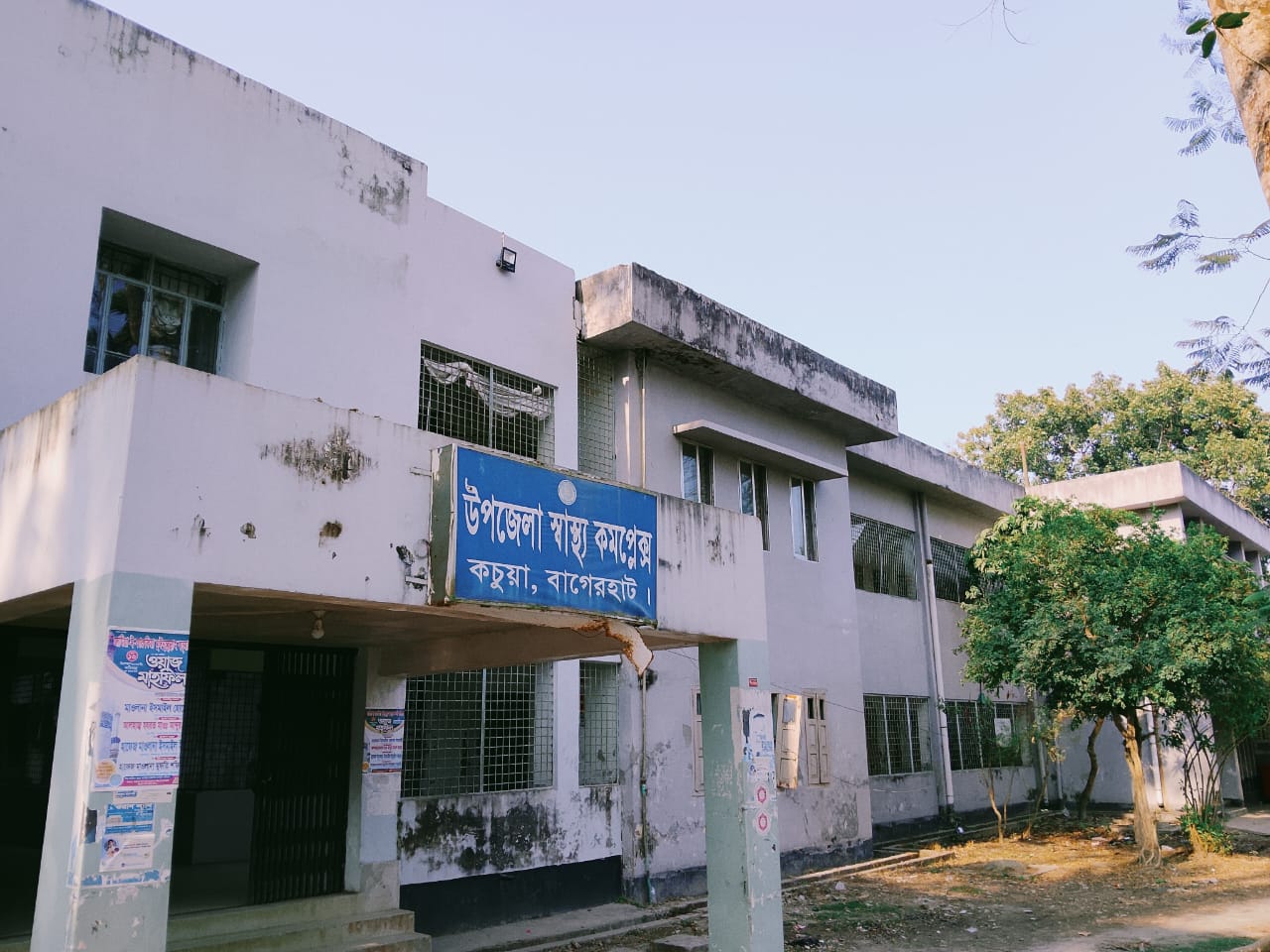 হাসয় তালের ছবি